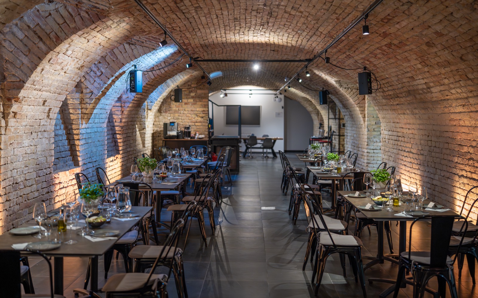 The vaulted cellar set for a tasting, glasses and oil on every table